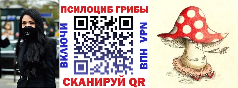 Псилоцибиновые грибы прущие грибы Купить Духовщина